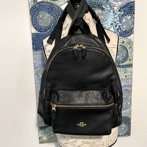 Coach Large Backpack